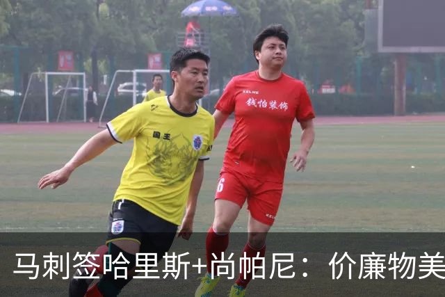 马刺签哈里斯+尚帕尼：价廉物美